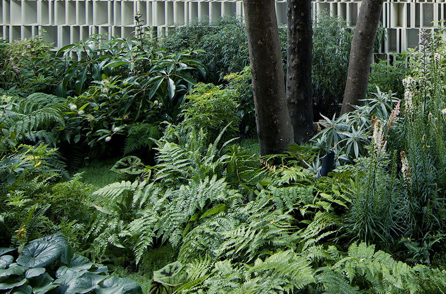 Mingzhu Nerval Landscape