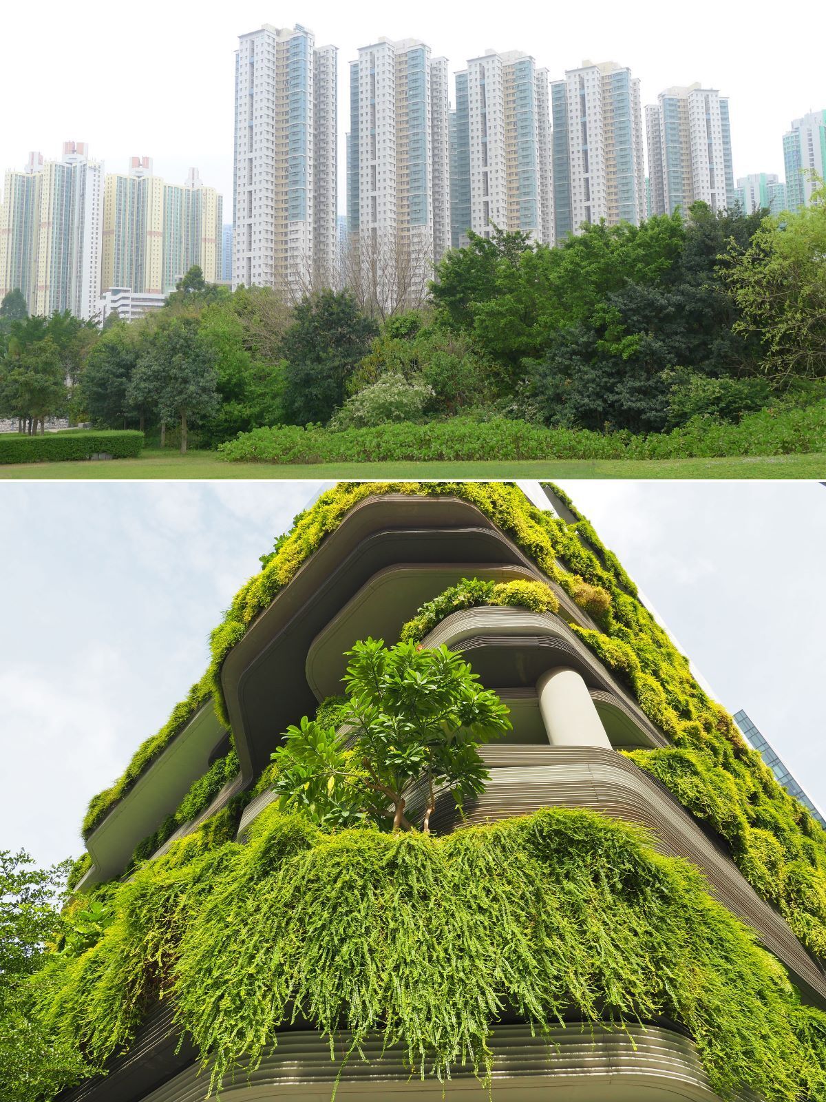 道地 21世紀 景觀人的世紀｜挑戰．責任．開創 