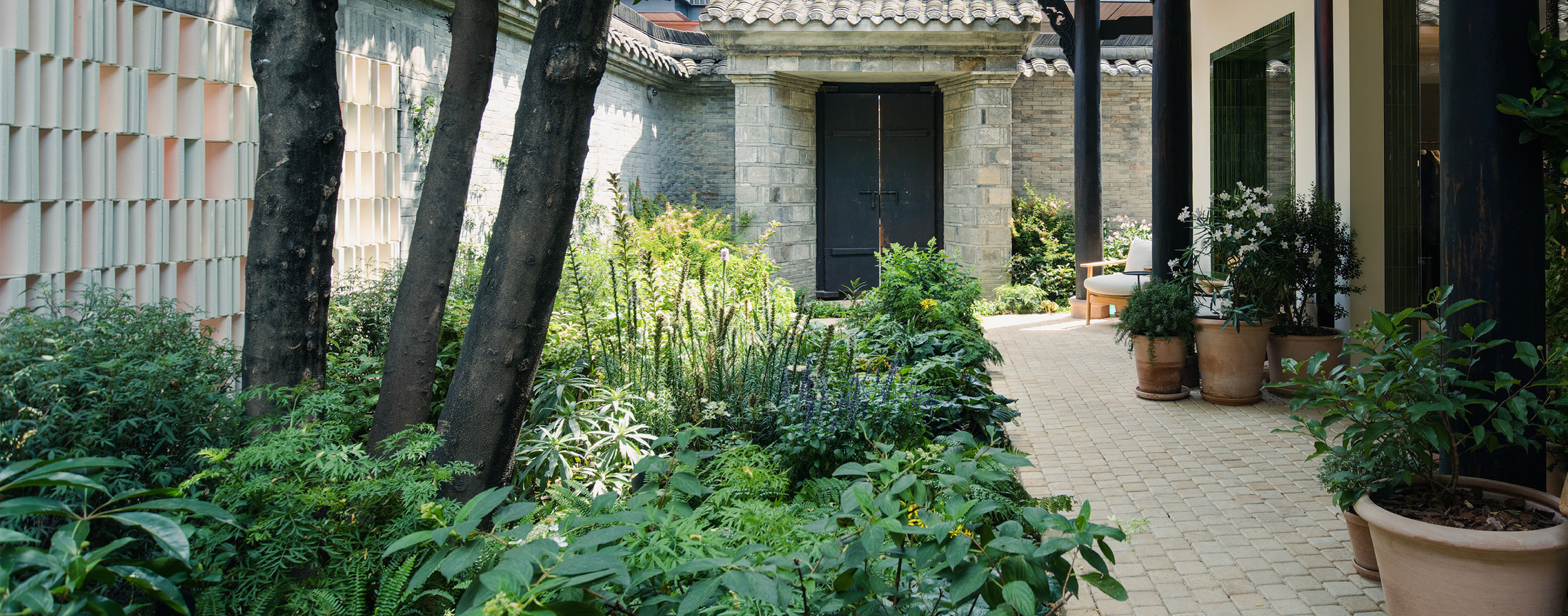 以植物學為本的景觀實踐：張志維談南島植物、古宅花園修復與永續未來