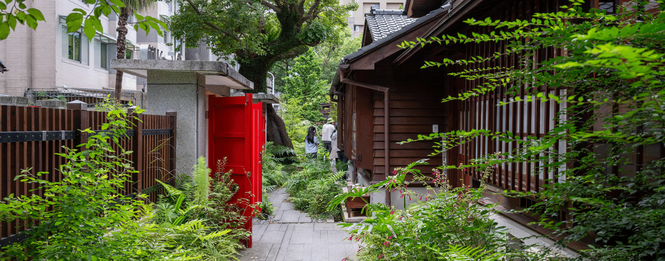 在城市裡找回山的氣味｜0km山物所景觀設計與「裏山」的自然試驗