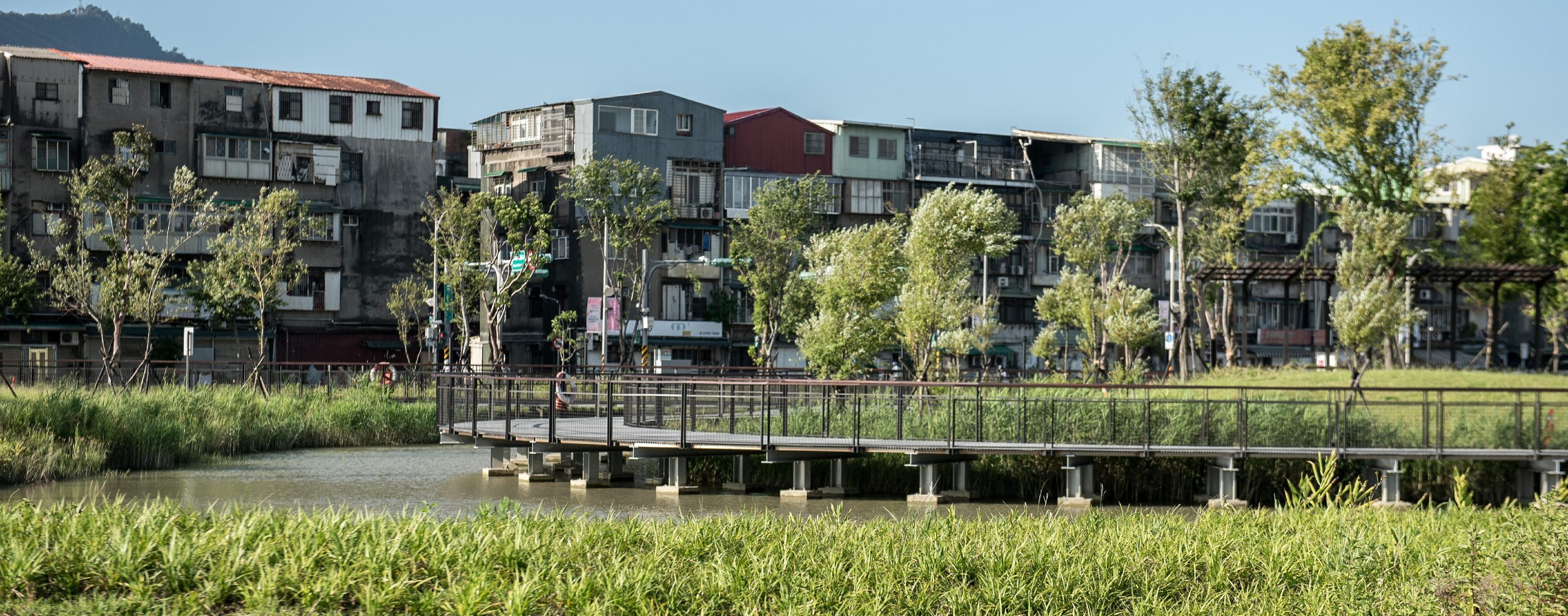 當都市林成為國家韌性基礎建設，景觀專業為何不能缺席？