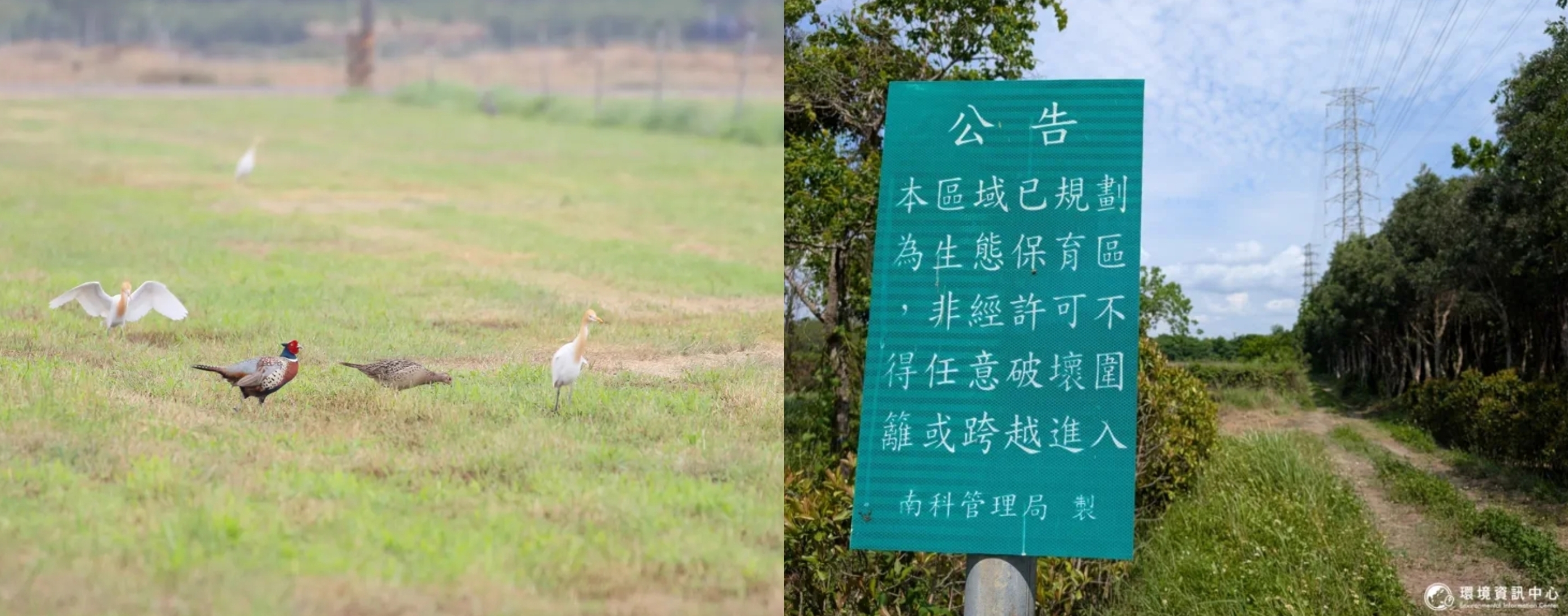 【南科沙崙案】400公頃「天上掉下來的禮物」 一場開發案如何牽動國土保育未來？