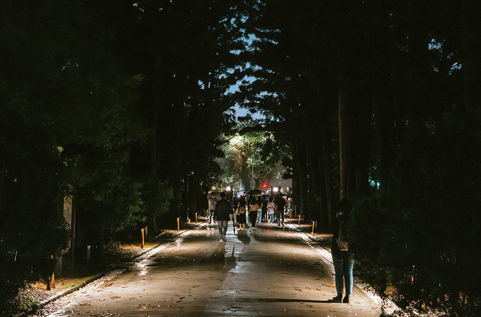 以環境為基礎，在細微間成就明亮｜臺北植物園植光計畫：植光步道