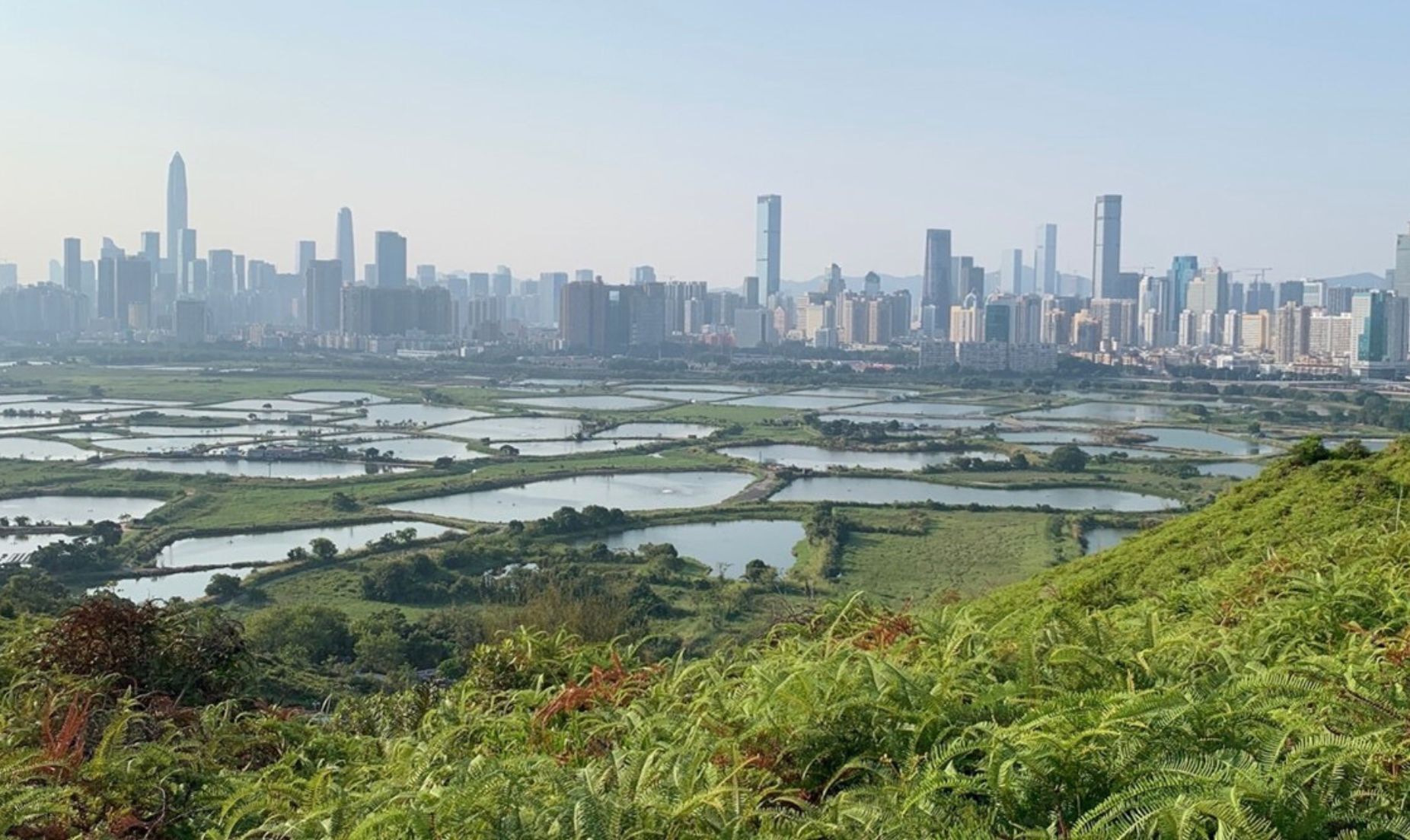 正在消失的邊界？香港與深圳共融共進的可能未來