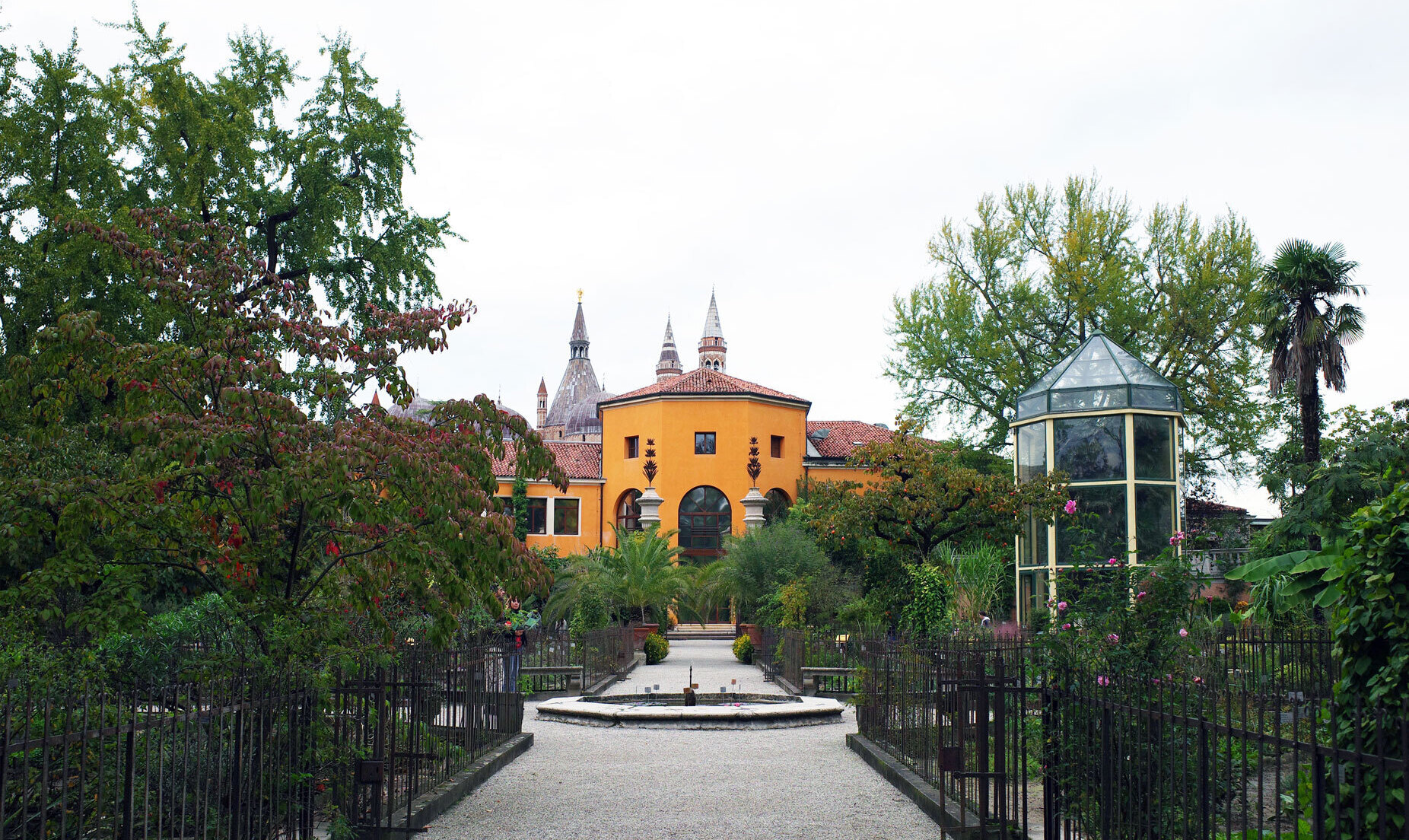 世界上最古老的植物園 - 帕多瓦植物園