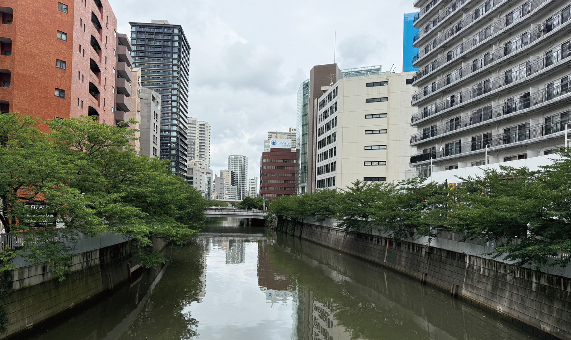 日本目黑川周邊改造綠化案例 - 打造人與河川共生的都市空間