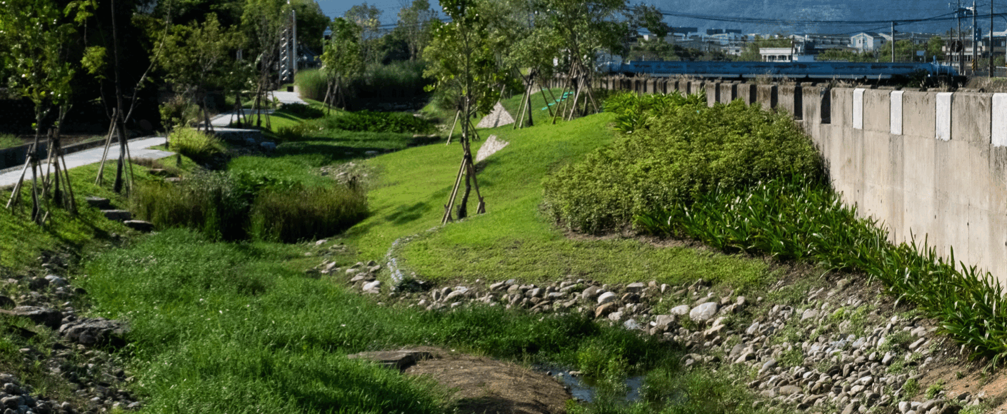 蘭陽溪畔–維管束漫生計畫