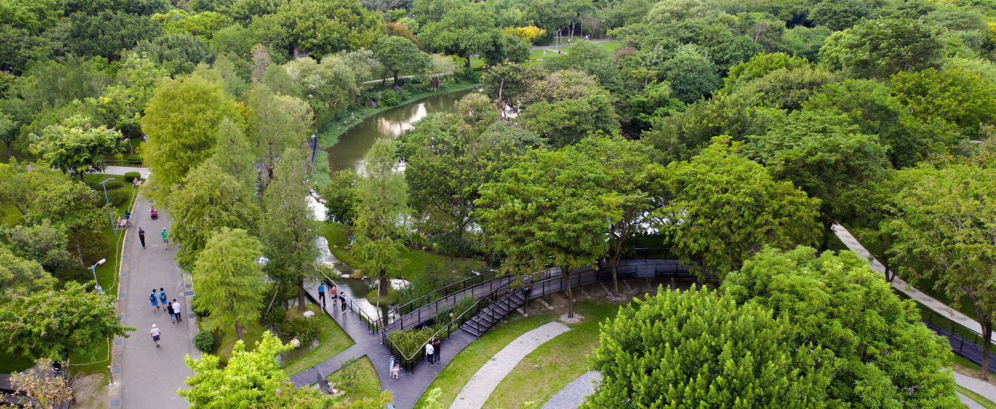 大安森林公園池南水一方—落羽松森林步道