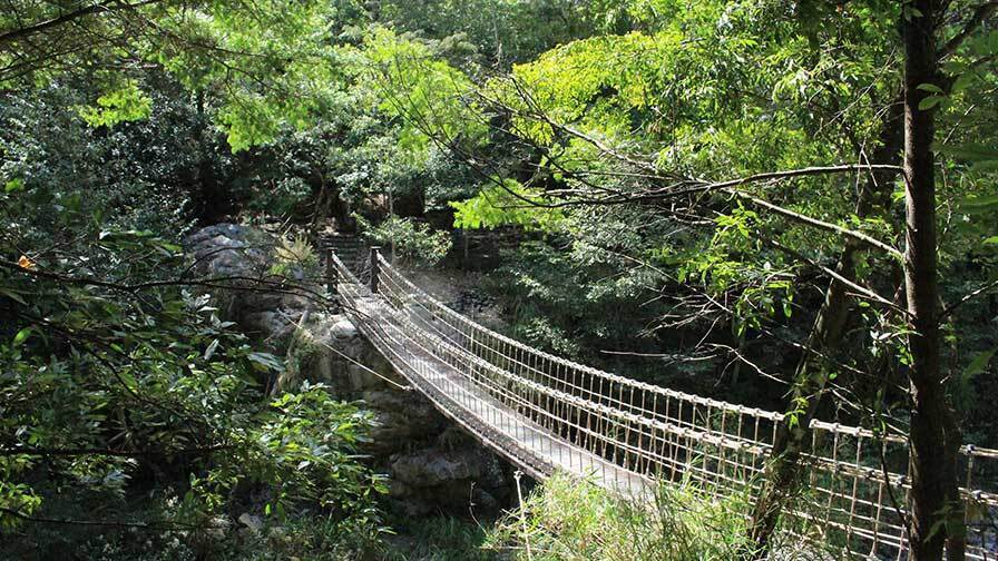 環山獵人登山步道建置工程