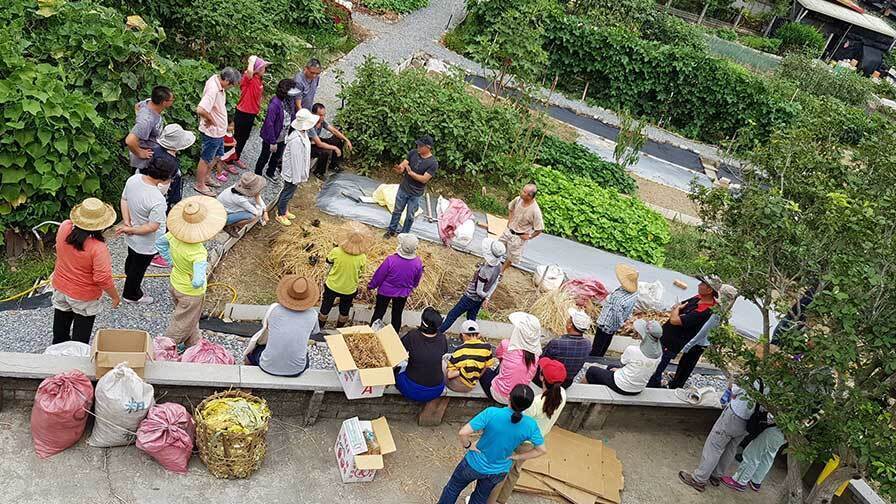 都市叢林中的大福新生農園─ 城市綠洲、共好家園