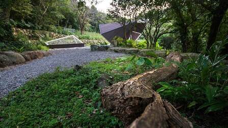 面天山向天山生態友善廊道：五感森林情境自然體驗場