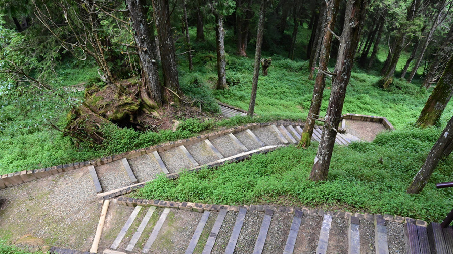 阿里山森林遊樂區水山線環狀步道新設工程