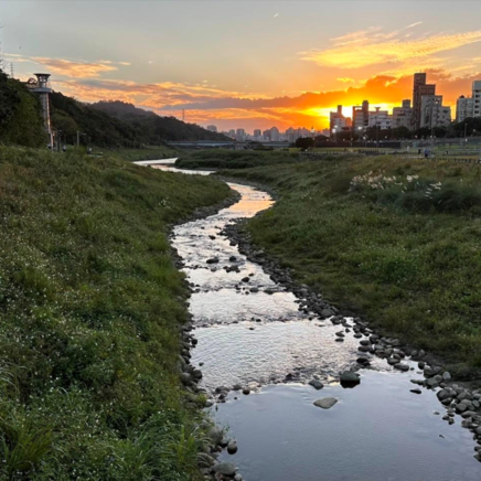 恢復河川生命力-景美溪及指南溪匯流口護岸再造工程