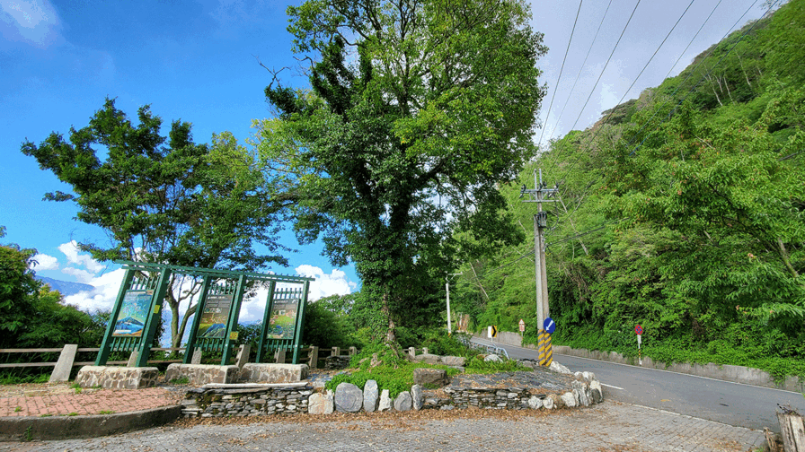 嵵榯之森 — 用時間堆砌的森林之路
