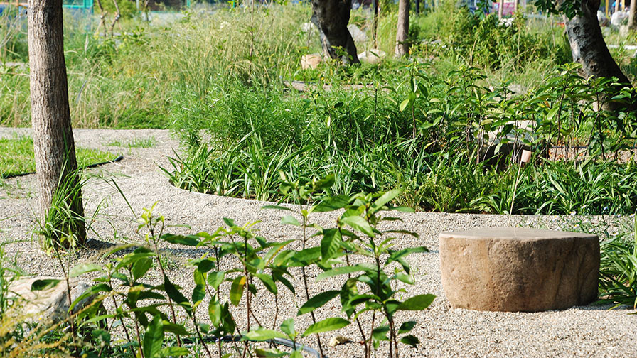 界牆上的原生花園